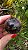 Esfera Super Seven - Imagem 2