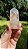 Cristal Phantom Lodolita - Imagem 4