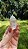 Cristal Phantom Branco - Imagem 2