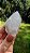Cristal Phantom Branco - Imagem 4