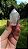 Cristal Phantom Branco - Imagem 2