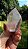 Cristal Phantom Branco - Imagem 1