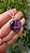 Pingente Fluorita Violeta - Imagem 1