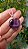 Pingente Fluorita Violeta - Imagem 2