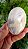Pedra da Lua Pêssego com Adularescência - Imagem 3