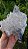 Drusa com Hematita Blue - Imagem 1