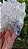 Drusa com Hematita Blue - Imagem 5