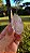 Cristal Biterminado - Imagem 1