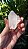 Cristal Biterminado - Imagem 1