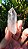 Cristal Biterminado - Imagem 3