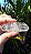 Cristal com Linha Faden - Imagem 2