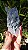 Drusa Blue Tara - Imagem 3
