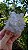 Drusa de Cristal com Hematita - Imagem 1