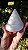 Concha Perolada - Imagem 1
