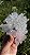 Flor de Cristal - Imagem 3