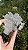 Flor de Cristal - Imagem 2