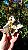 Siderita com Albita - Imagem 3