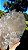 Hydrothermal Etched - Imagem 4