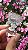 Flor de Cristal em tons de lilás com Goethita - Imagem 4
