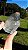 Phantom Anjo - Imagem 3