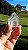 Phantom Anjo - Imagem 1