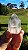 Phantom Anjo - Imagem 2
