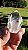 Phantom Anjo - Imagem 1