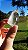 Phantom Anjo - Imagem 3