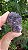 Estalactite de Ametista - Imagem 2