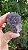 Estalactite de Ametista - Imagem 1