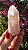 Pink Sugar - Imagem 1