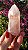 Pink Sugar - Imagem 2