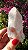 Pink Sugar - Imagem 2