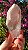 Pink Sugar - Imagem 1