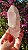 Pink Sugar - Imagem 2