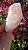 Pink Sugar - Imagem 4