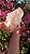 Pink Sugar - Imagem 4