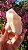 Pink Sugar - Imagem 2