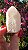 Pink Sugar - Imagem 4
