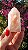 Pink Sugar - Imagem 2