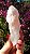 Pink Sugar - Imagem 2