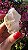 Pink Sugar - Imagem 4