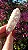 Pink Sugar - Imagem 2