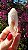Pink Sugar - Imagem 1