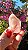 Pink Sugar - Imagem 1