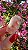 Pink Sugar - Imagem 2
