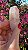 Pink Sugar - Imagem 1