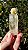 Hiddenita - Imagem 1