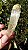 Hiddenita - Imagem 2