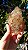 Elestial - Imagem 2